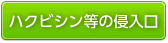 ハクビシン等の侵入口