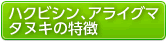 ハクビシン、アライグマ、タヌキの特徴