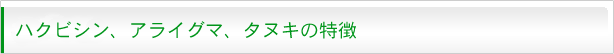 ハクビシン、アライグマ、タヌキの特徴