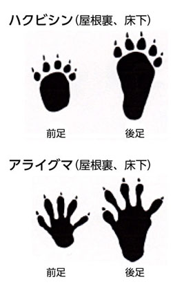 屋根裏の足あと