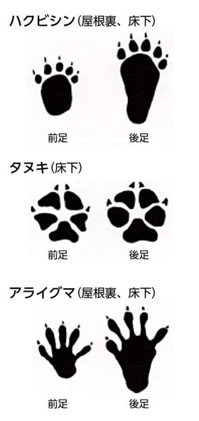 床下の足あと