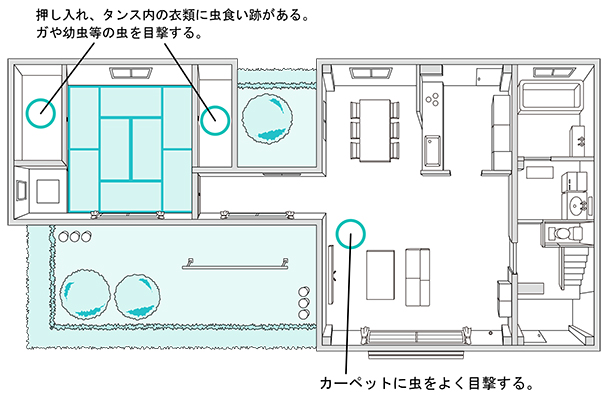 発生場所の図