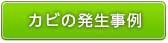 カビの発生事例