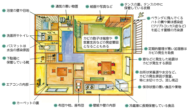 カビの発生場所