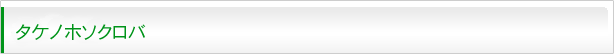 タケノホソクロバ