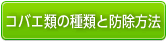 コバエ類の種類と防除方法