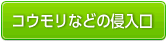 コウモリなどの侵入口