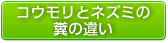 コウモリとネズミの糞の違い