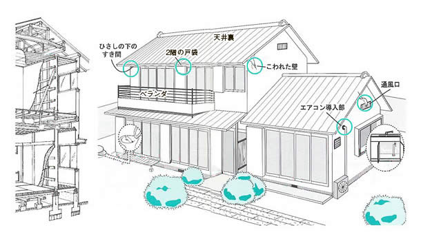 コウモリなどの侵入口