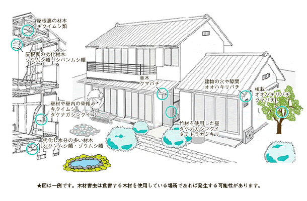 屋外の発生場所