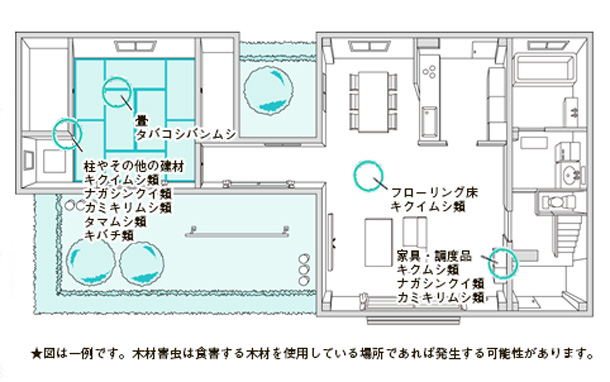 屋内の発生場所