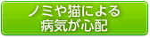 ノミや猫による病気が心配