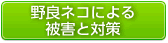 野良ネコによる被害と対策