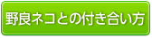 野良ネコとの付き合い方