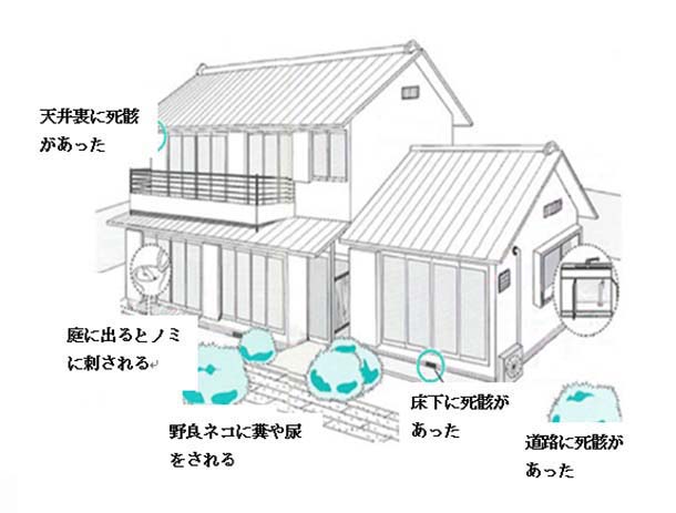 ネコの被害