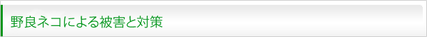 野良ネコによる被害と対策