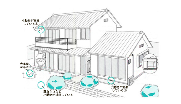 ノミの発生場所