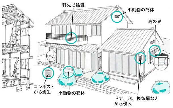 発生場所-一般家屋の図