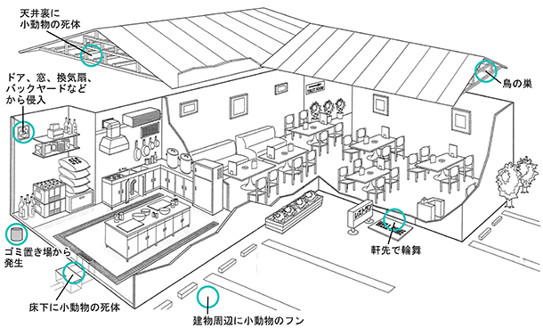 発生場所-飲食店の図
