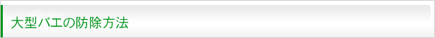 大型バエの防除方法