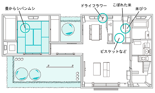 発生場所-一般家庭の図